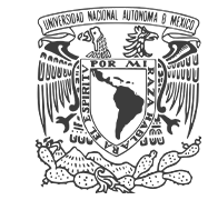 Universidad Nacional Autónoma de México (UNAM)